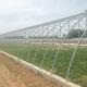 Plastic Film/Glass Greenhouse For Agriculture And Livestock  Height Designable