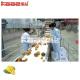 Commercial  Mango Processing Line Pineapple Juice Machine SUS304
