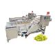 Fruit And Vegetable Production Line Cutting Washing Drying Frozen Line Salad Processing Line