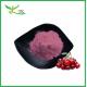 100% Water Soluble Natural Acerola Cherry Powder Spray Dried Fruit Juice Powder