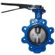 Low Temperature Ductile Iron Butterfly Valve Blue Epoxy Coating for Hydraulic Systems