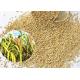 Yellow Broomcorn Millet Small Bird Food Original Flavor For Canary Bird