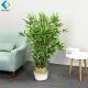 Indoor Artificial Bamboo Trees In Pots For Aisle Corridor Partition Decoration R020041