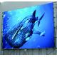 P5 Waterproof Full Color Outdoor LED Advertising Display 64x32 Pixel 320x160mm Panel