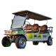 25 Mph EV LSV Golf Cart Electric Vehicles 2 Seater