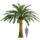 No Nursing Store Artificial Landscape Trees Big Date Palm Tree Customized Size