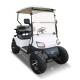 Outdoor All Terrain 2 Seater Golf Cart For Garden Community 60Volt