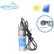 Whaleflo 12LPM 3M Cable 24 Volts Stainless Steel Borehole Submersible Solar Water Pump for Irrigation
