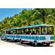 72 Seat Tourist Train Rides For Adults / Trackless Toy Train 380V FRP Protective Door