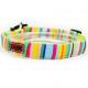 C508 Shenzhen Manufacturer Cute Cheap Price Custom Logo Fashion Sublimation Pet  Dog Collars and Leads