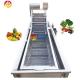 Industrial Fruit Seafood Cleaning Machine with Advanced Bubble Washing Technology