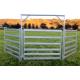 20pcs Bundle Heavy Duty Cattle Corral Panels For Sale & Gate