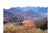The natural scenic spot of large Yang mountain travels  Beijing of China