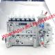 6CTA8.3-C240 Diesel Engine Fuel Pump Assembly 6P704 3976438 BHF6P120005