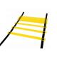 Agility Training Ladder Fitness Exercise Equipment With Black Carrying Case