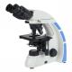 0.002mm Inverted Tissue Culture Microscope Stands Adjustable 2um