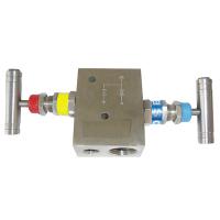 3000 Psi 1/4 Female NPT Instrument Manifold Valve 100C 2 Way Manifold