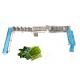 CE Certified Stainless Steel Automatic Leafy Vegetable Washing Line Vegetable Processing Plant