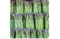 Despite FTA, Peru asparagus not price competitive in China, USDA says