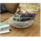 China manufacturer wicker garden baskets willow plant baskets mid-round shape