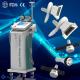 Fat Freezing fat removal weight loss cryolipolysis slimming machine body thinning