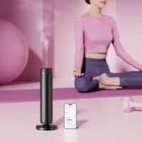 Waterless Scent Diffuser 1000 Sq Ft Coverage Hotel Scent Diffuser Essential Oil Diffuser