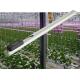 Greenhouse Vegetable Seedling Grow Lights / Aluminum Plant Light 2.9μmol/J 660nm