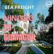 CIF CNF Worldwide Sea Freight Services Ningbo To Guayaguil Ecuador South America
