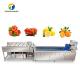 Multifunction Fruit And Vegetable Processing Line Parallel Brush Machine