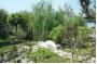 Nanjing China afforests Review Garden and travels  Nanjing of China