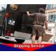 Free Cargo Trucking Services , China Shenzhen Area Freight Truck Services