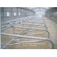 Single Row Type Cow Milking Stall With Hot Galvanized Steel Pipe