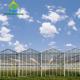 12m High Venlo Roof Agricultural Glass Greenhouse Hot Dip Galvanized Steel Greenhouse