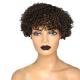 Light Brown Afro Curly Wig Cuticle Aligned Short Pixie Cut Human Hair Wigs with Bangs