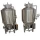 Processing GHO Beer Manufacturing Equipment Fermentation Tank for 220V 50HZ Voltage