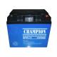 China Champion Battery  12V45Ah NP45-12 Lead Acid AGM Battery VRLA Battery, SLA Battery