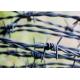 Garden Anti-Theft Length 200m Stainless Steel Barbed Wire Price Per Roll