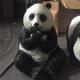 H80cm Life Size Fiberglass Panda Statue For Hotel Decoration