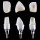 Dental Implant Tibase Zirconia Abutment Titanium Accuracy Customized