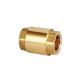 Antiwear ODM One Way Vertical 1 Inch Brass Check Valve For Water Supply System