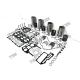 Overhaul Kit With Valves For Perkins 1104  Excavator Engine Parts