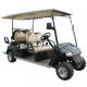 4 6 Seater Lithium Ion EV Global Golf Carts With 40 Mph Power Steering Foldable Seat LCD Headlight LED Screen