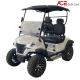 PP Hard Plastic Body Material Motorized Golf Cart With Lead Acid Battery