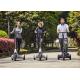 250W Steel Frame Airuide Foldable Electric Scooter