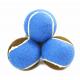 Pet Toy Rubber Ball for  pet playing