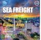55 Days Global Sea Freight Logistics From Qingdao To Buenos Aires Argentina