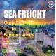 55 Days Global Sea Freight Logistics From Qingdao To Buenos Aires Argentina