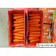 Own Plantation Fresh Chinese Carrot No Stain For Frozen Vegetable Factory