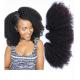 1B Afro Kinky Curly 100% Brazilian Virgin Hair Bouncy And Soft With Elasticity