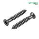 Wood Screws Standard M25X5 100Mm 2 10Mm 6X160 Din571 Torx 1 In Flat Square Perforated Head Stainless Steel Wooden Screw